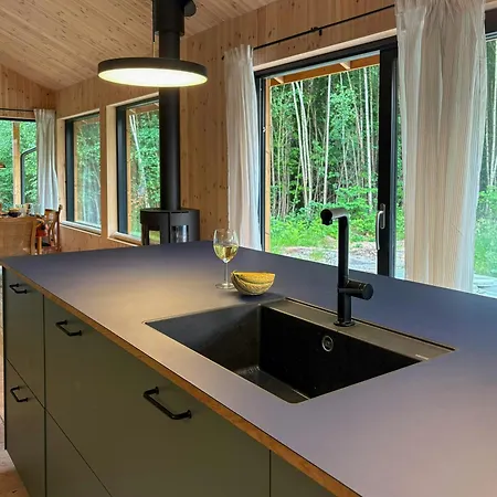 Architect-designed Timber House Amid Birch Trees