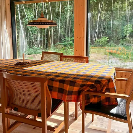 Architect-designed Timber House Amid Birch Trees Neksø