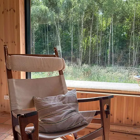 Architect-designed Timber House Amid Birch Trees *