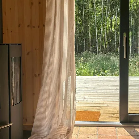 Architect-designed Timber House Amid Birch Trees Neksø