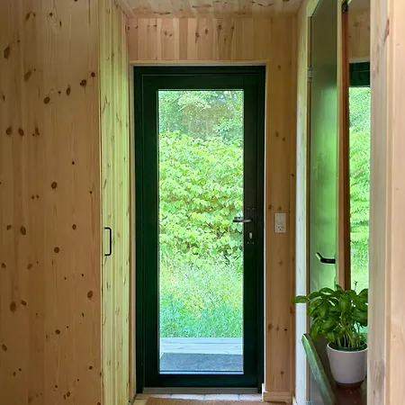Architect-designed Timber House Amid Birch Trees