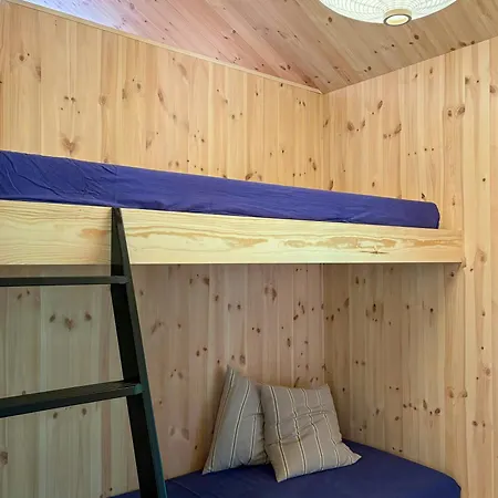 Semesterbostad Architect-designed Timber House Amid Birch Trees Neksø