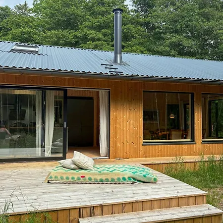 Architect-designed Timber House Amid Birch Trees