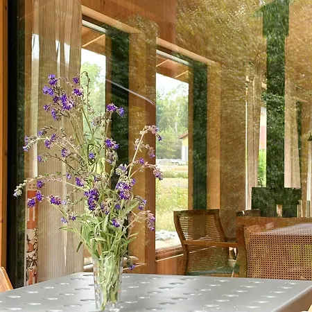 Semesterbostad Architect-designed Timber House Amid Birch Trees Neksø