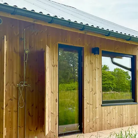 Architect-designed Timber House Amid Birch Trees Neksø