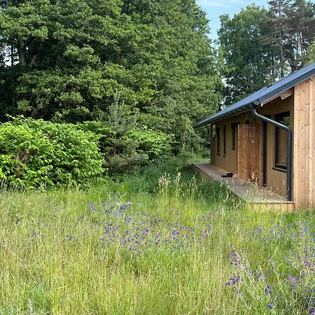 Semesterbostad Architect-designed Timber House Amid Birch Trees Neksø