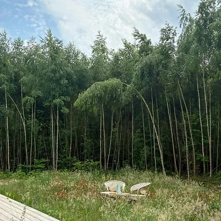 Semesterbostad Architect-designed Timber House Amid Birch Trees