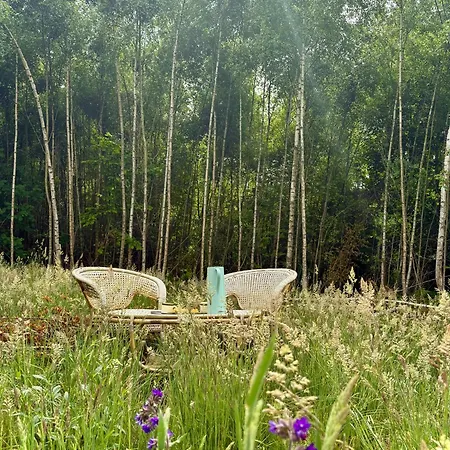 Semesterbostad Architect-designed Timber House Amid Birch Trees Neksø